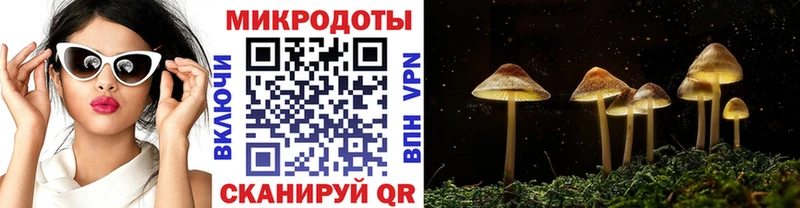 OMG ONION  Фёдоровский  Псилоцибиновые грибы Psilocybe 